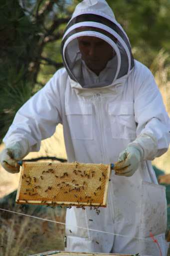 Okanagan Bee Farm